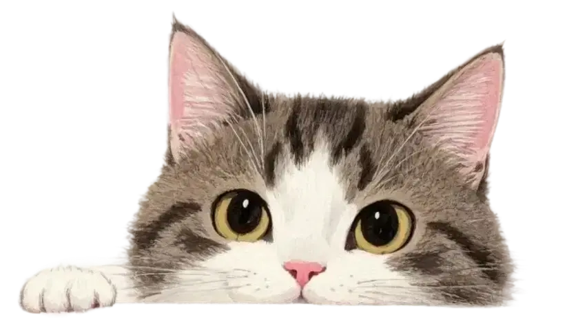 可爱的小猫咪