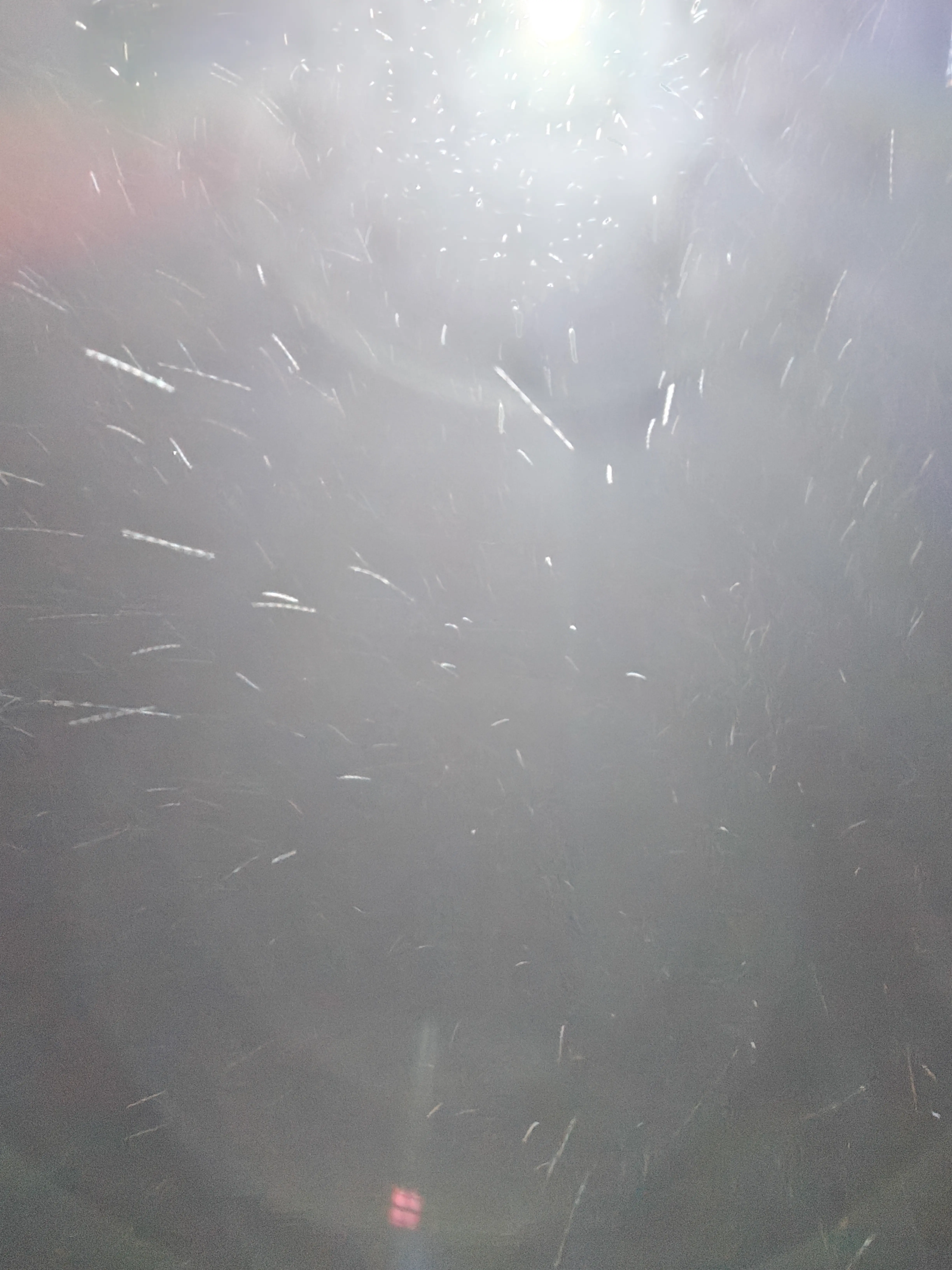 恋爱照片